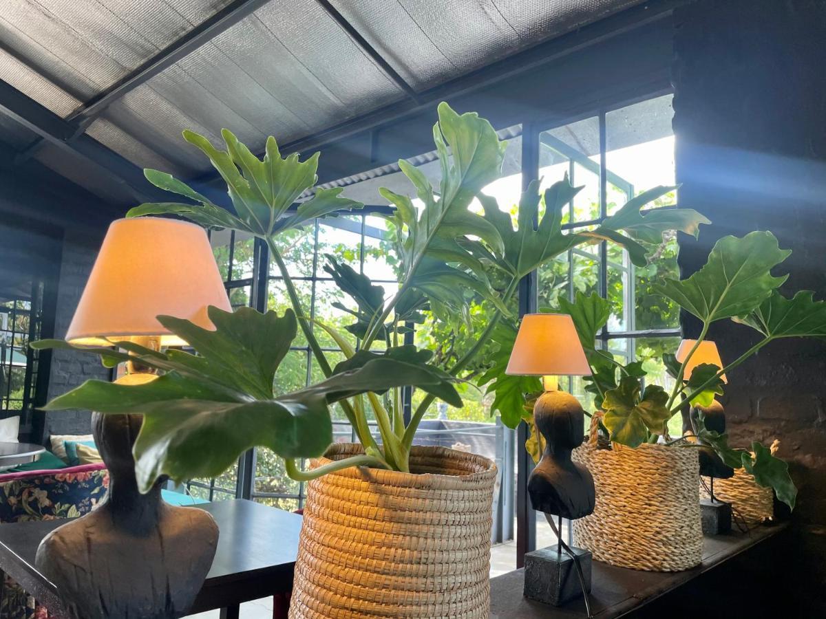 Le Reve Boutique Hotel Tulbagh Eksteriør bilde