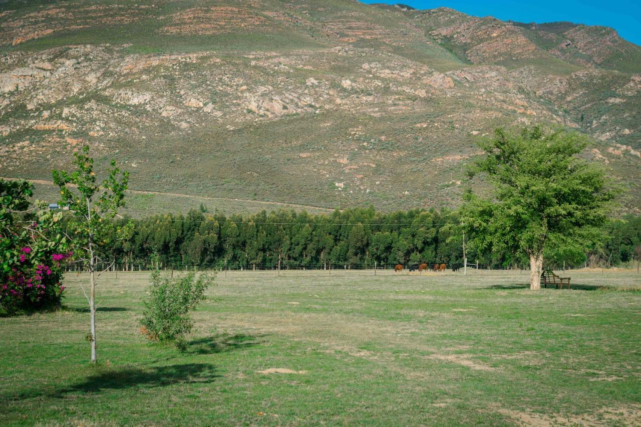 Le Reve Boutique Hotel Tulbagh Eksteriør bilde
