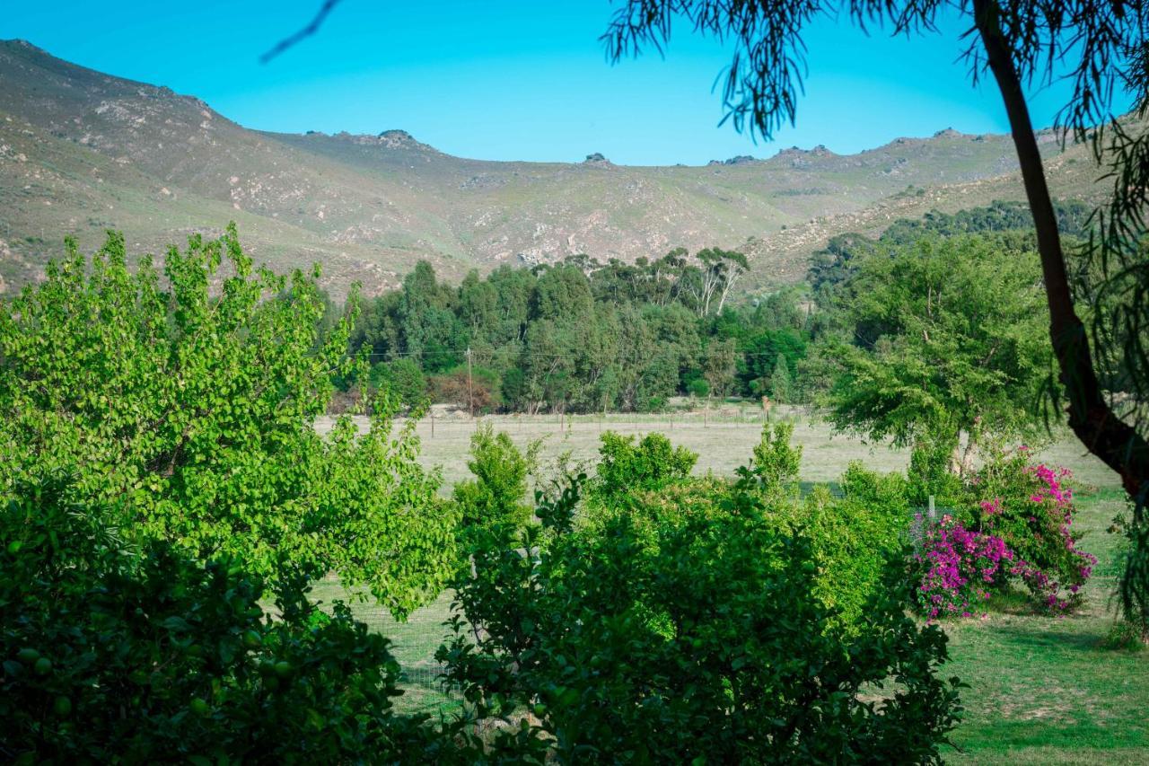 Le Reve Boutique Hotel Tulbagh Eksteriør bilde